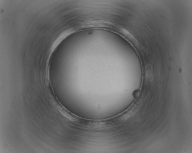 X0000077371370200611031900