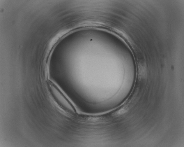 X0000077371371200611031900