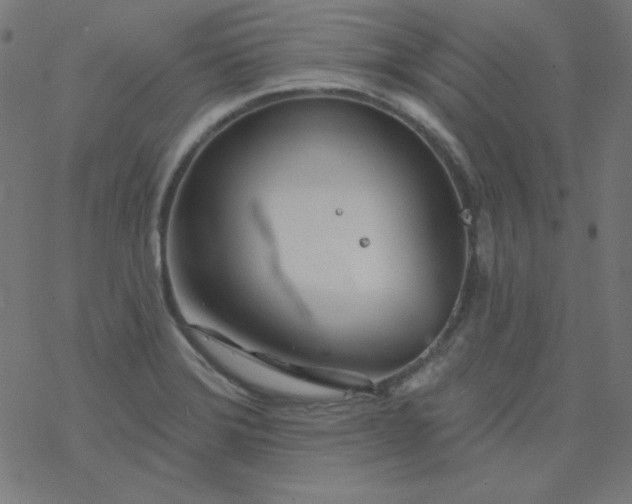 X0000077371372200611031900