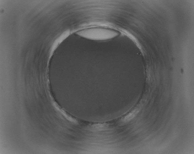 X0000077371373200611031900