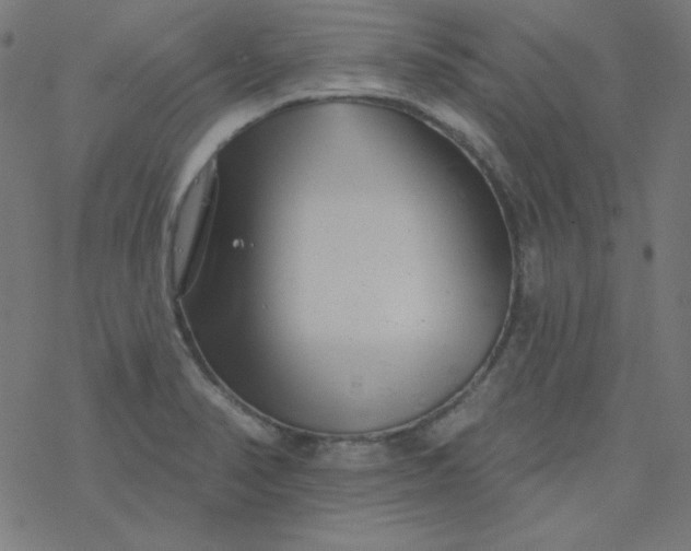 X0000077371374200611031900