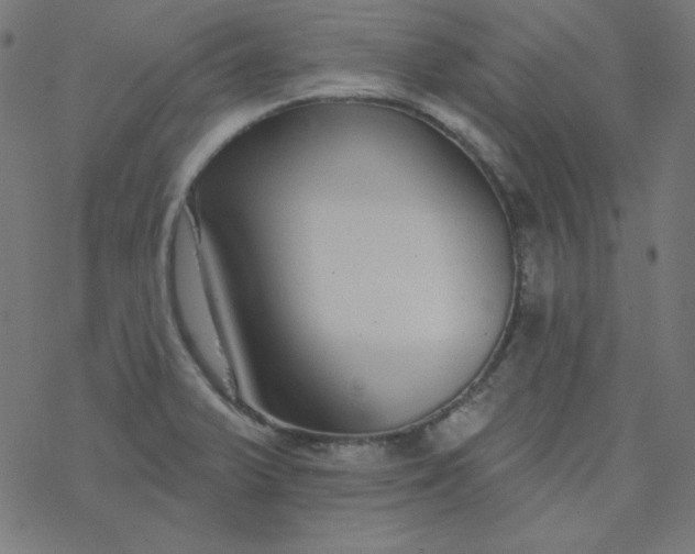 X0000077371375200611031900