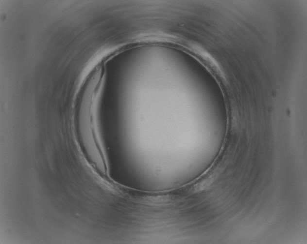 X0000077371376200611031900