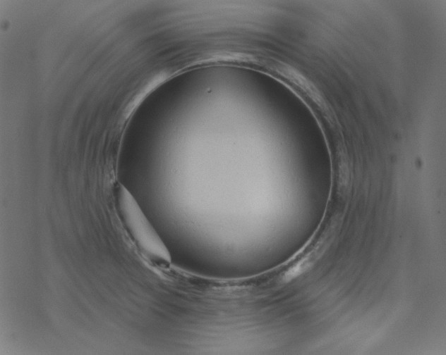 X0000077371377200611031900