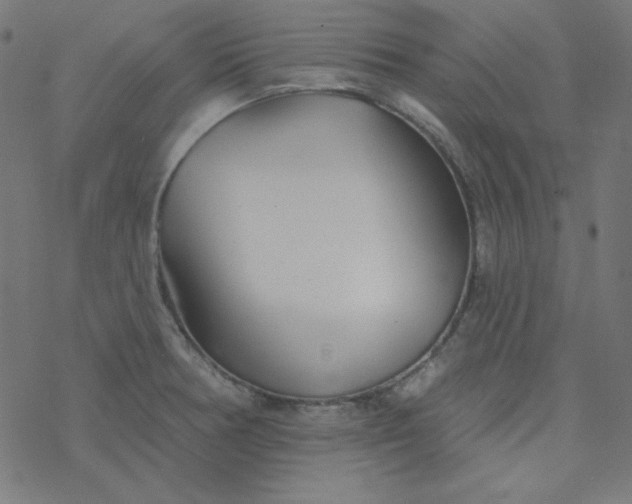 X0000077371378200611031900