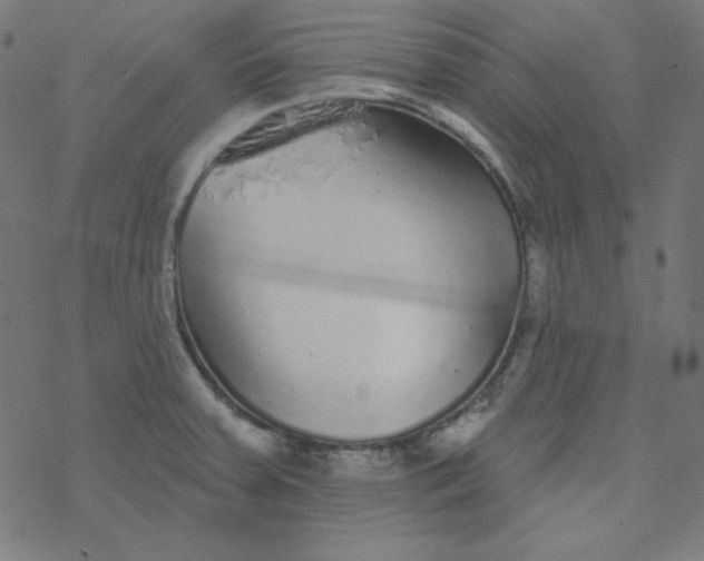 X0000077371379200611031900