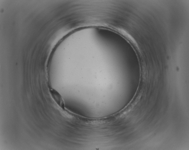 X0000077371380200611031900