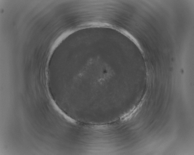 X0000077371381200611031900