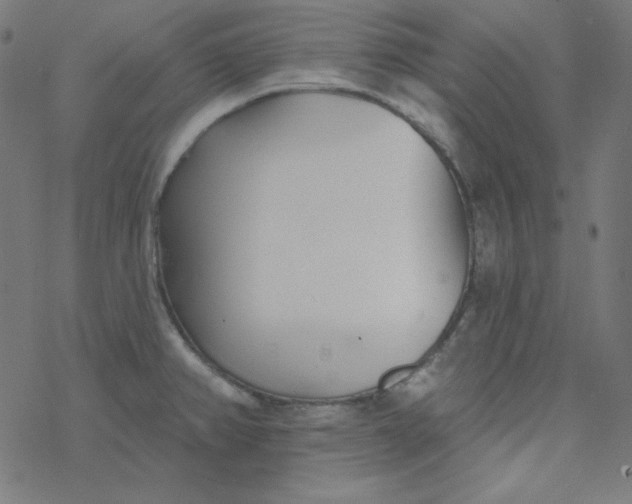 X0000077371382200611031900