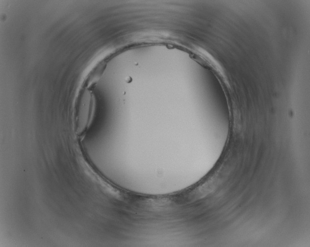 X0000077371384200611031900