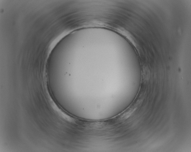 X0000077371387200611031900