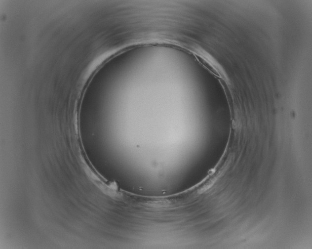 X0000077371388200611031900