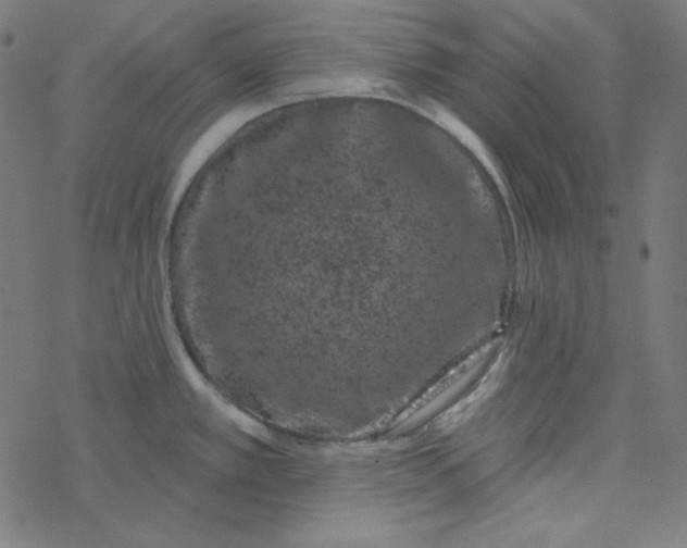 X0000077371389200611031900