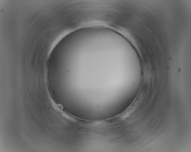 X0000077371390200611031900