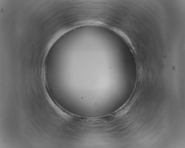 X0000077371391200611031900