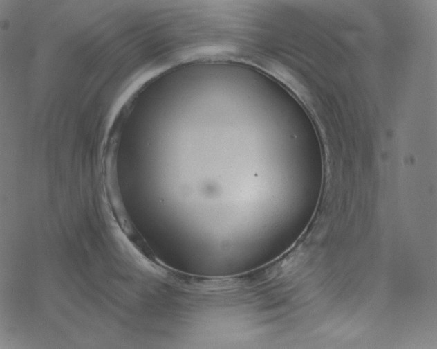 X0000077371392200611031900