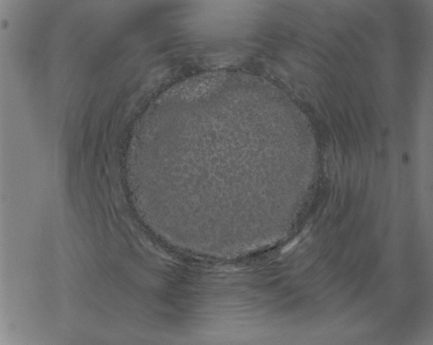 X0000077371393200611031859