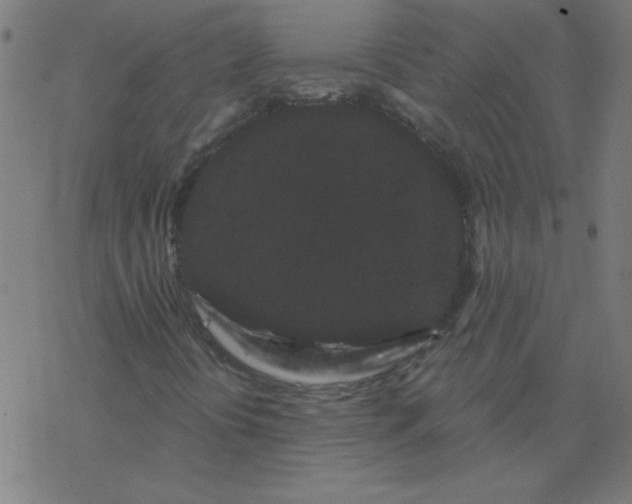 X0000077371394200611031859