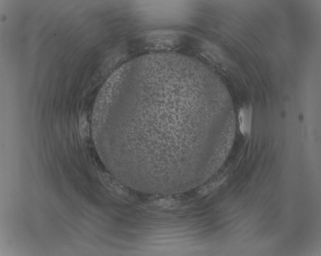 X0000077371395200611031859