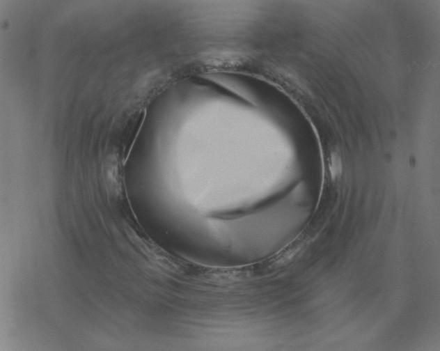 X0000077371396200611031859