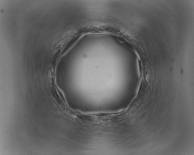 X0000077371397200611031859