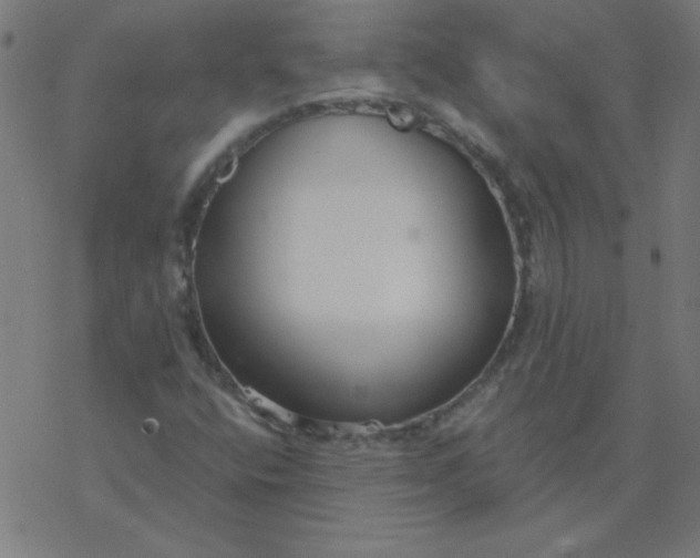 X0000077371400200611031859