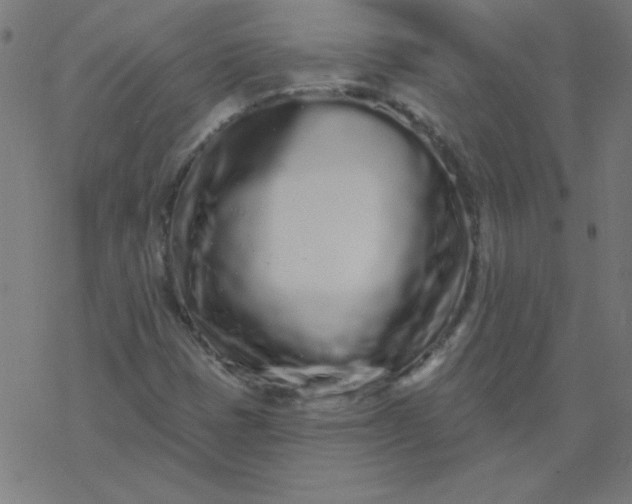 X0000077371401200611031859