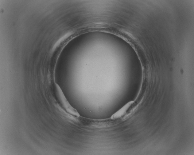 X0000077371402200611031859