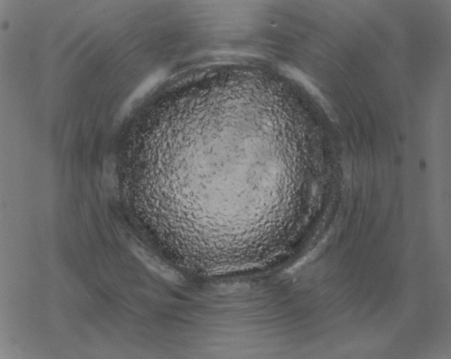 X0000077371403200611031859