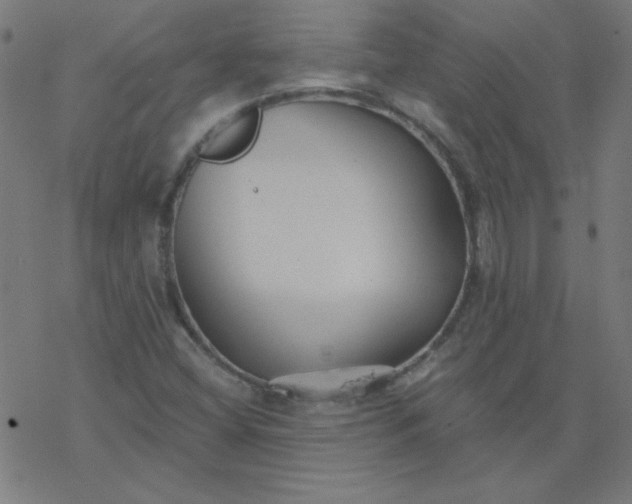 X0000077371404200611031859