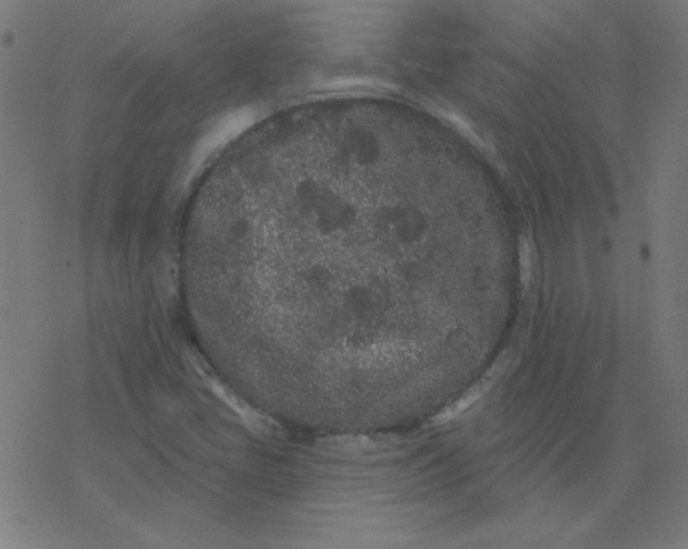 X0000077371405200611031859