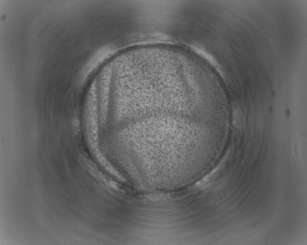 X0000077371407200611031900