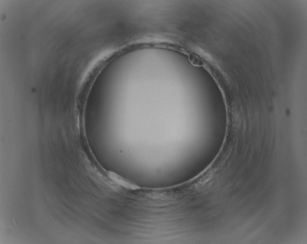 X0000077371408200611031900