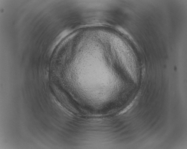 X0000077371409200611031900