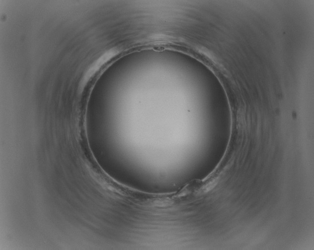 X0000077371410200611031900