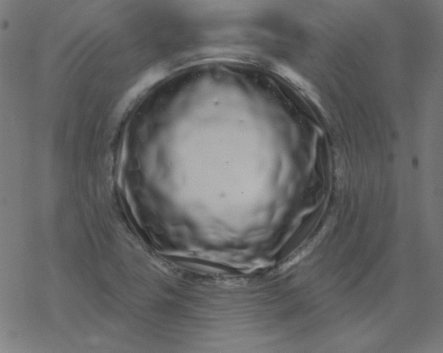 X0000077371411200611031900