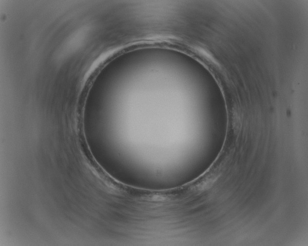 X0000077371412200611031900