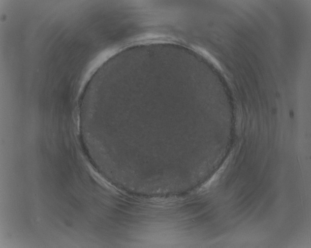 X0000077371413200611031900