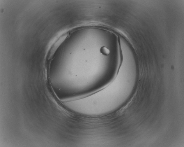 X0000077371414200611031900