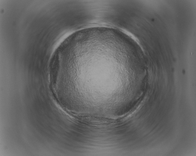 X0000077371415200611031900