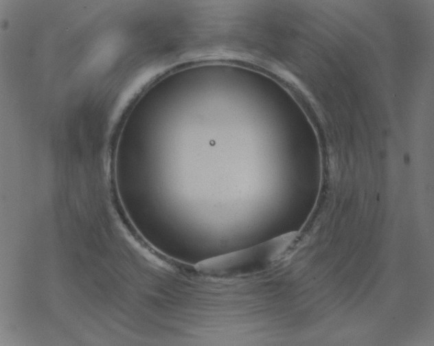 X0000077371416200611031900