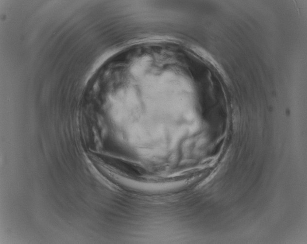 X0000077371417200611031900