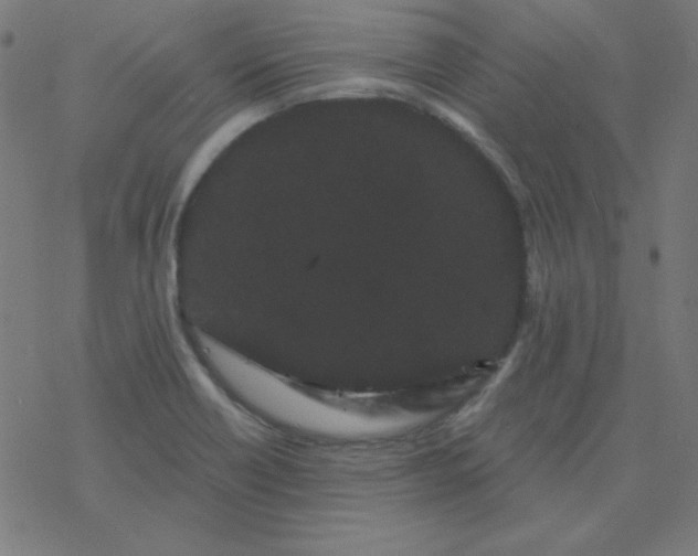 X0000077371418200611031900