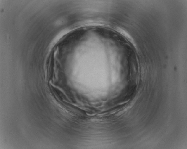 X0000077371419200611031900