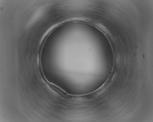 X0000077371420200611031900