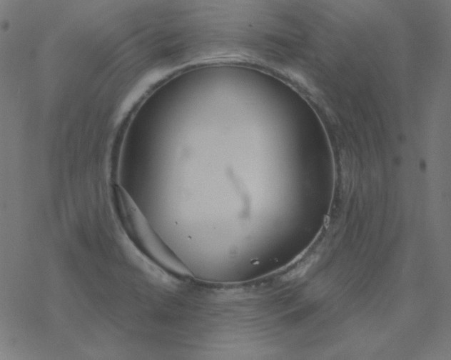 X0000077371422200611031900