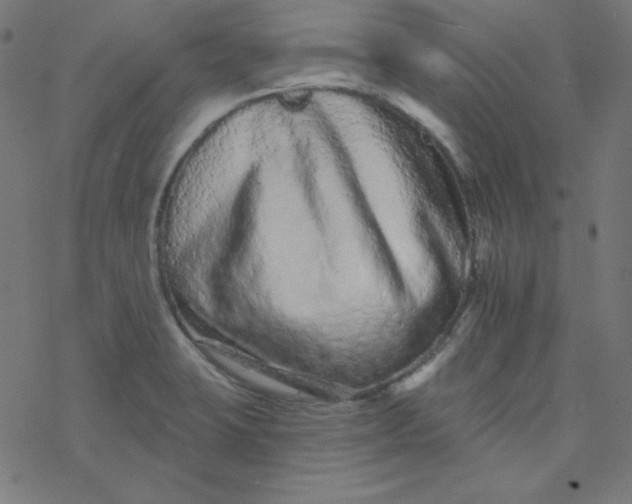 X0000077371423200611031900