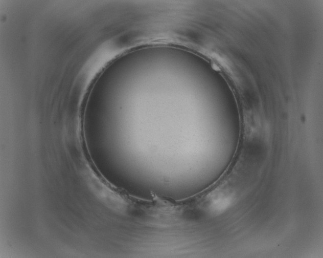 X0000077371424200611031900