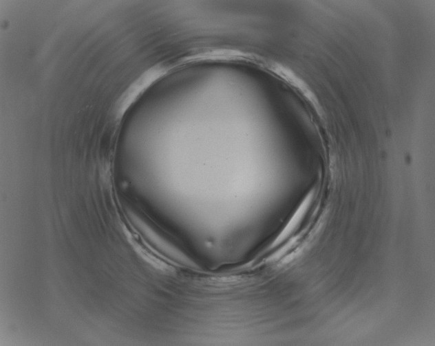 X0000077371425200611031900