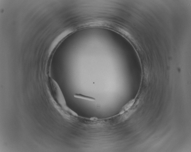 X0000077371426200611031900